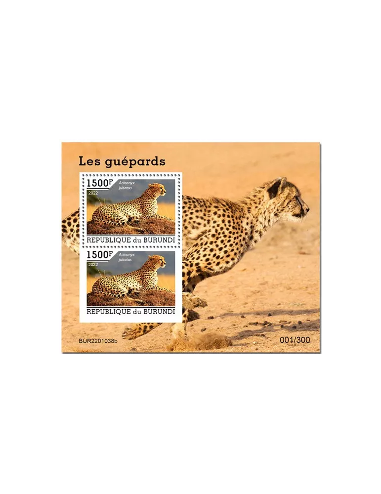 n° 455 - Timbre BURUNDI Blocs et feuillets