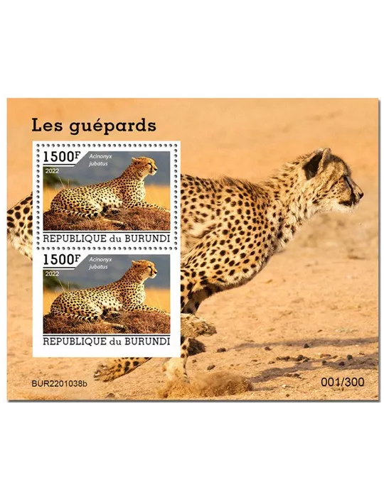 n° 455 - Timbre BURUNDI Blocs et feuillets