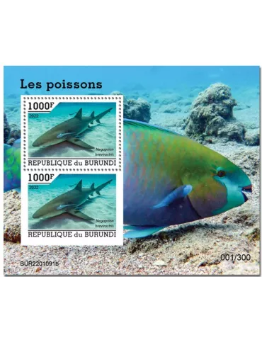 n° 508 - Timbre BURUNDI Blocs et feuillets