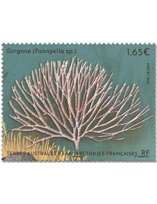 n° F1038 - Timbre TAAF Poste