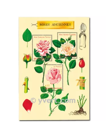 n° 24 - Timbre France Bloc et feuillets