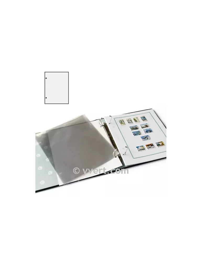 Gaines transparentes FUTURA (x10)