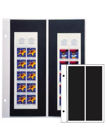 Recharges FUTURA : C20 (x5)