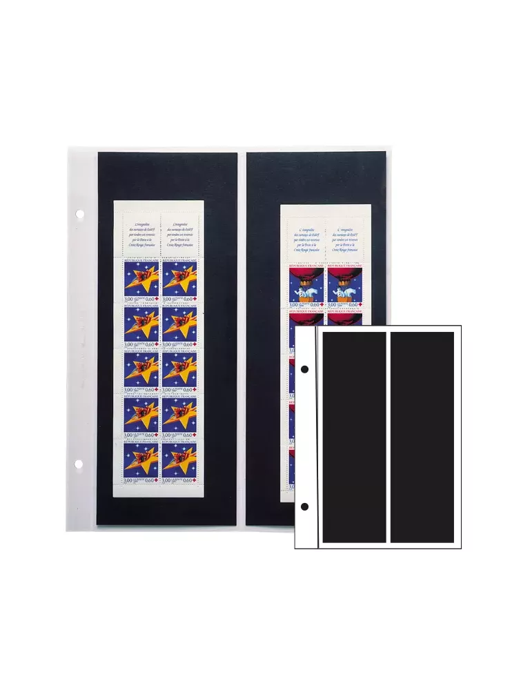 Recharges FUTURA : C20 (x5)