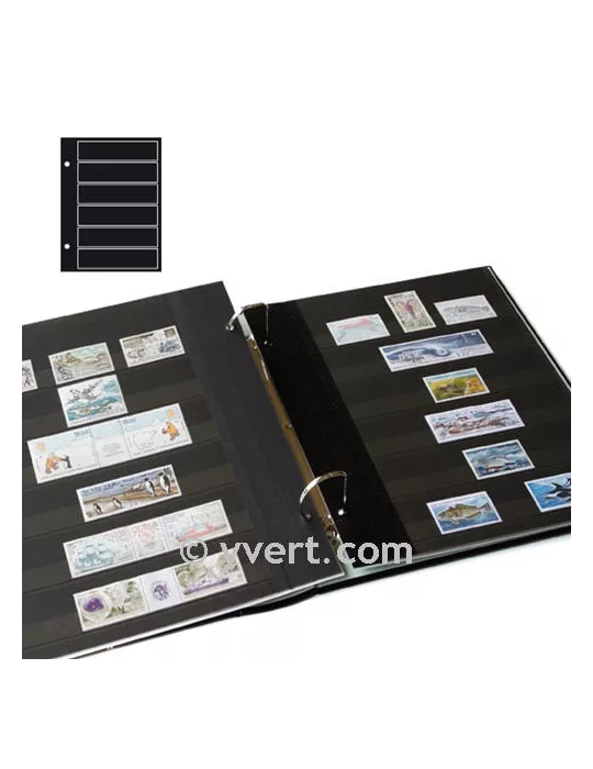 Recharges FUTURA : C80 (x5)