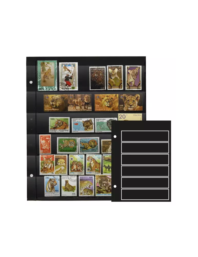 Recharges GIGA : 6 bandes (x5)