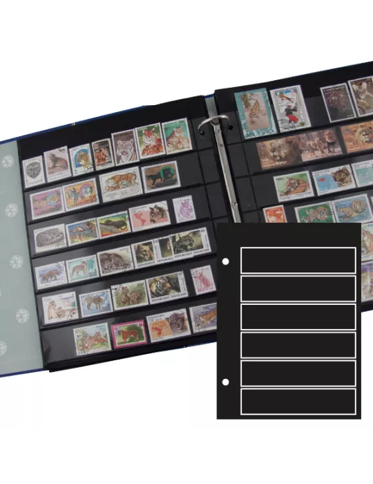 Recharges GIGA : 6 bandes (x5)