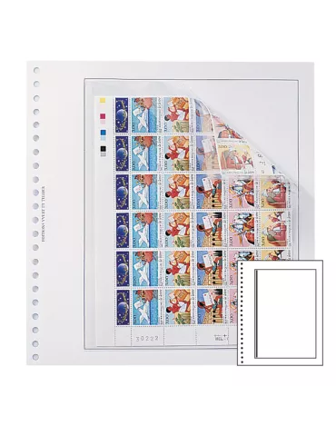 Recharges Recto-Verso Duo-Supra : 1 poche