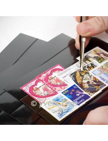 CARTES PLASTIQUES : 3 BANDES (par 100)