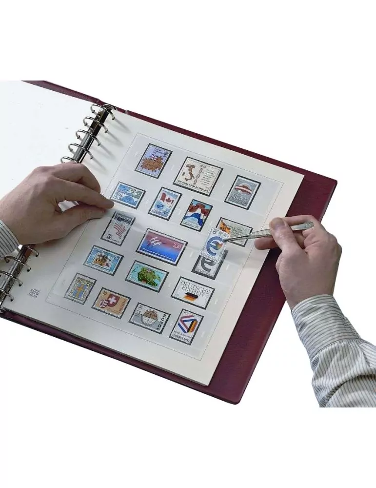 FRANCE SAFE DUAL SANS PLAQUETTE : 2020 (1e SEMESTRE) - SAFE®