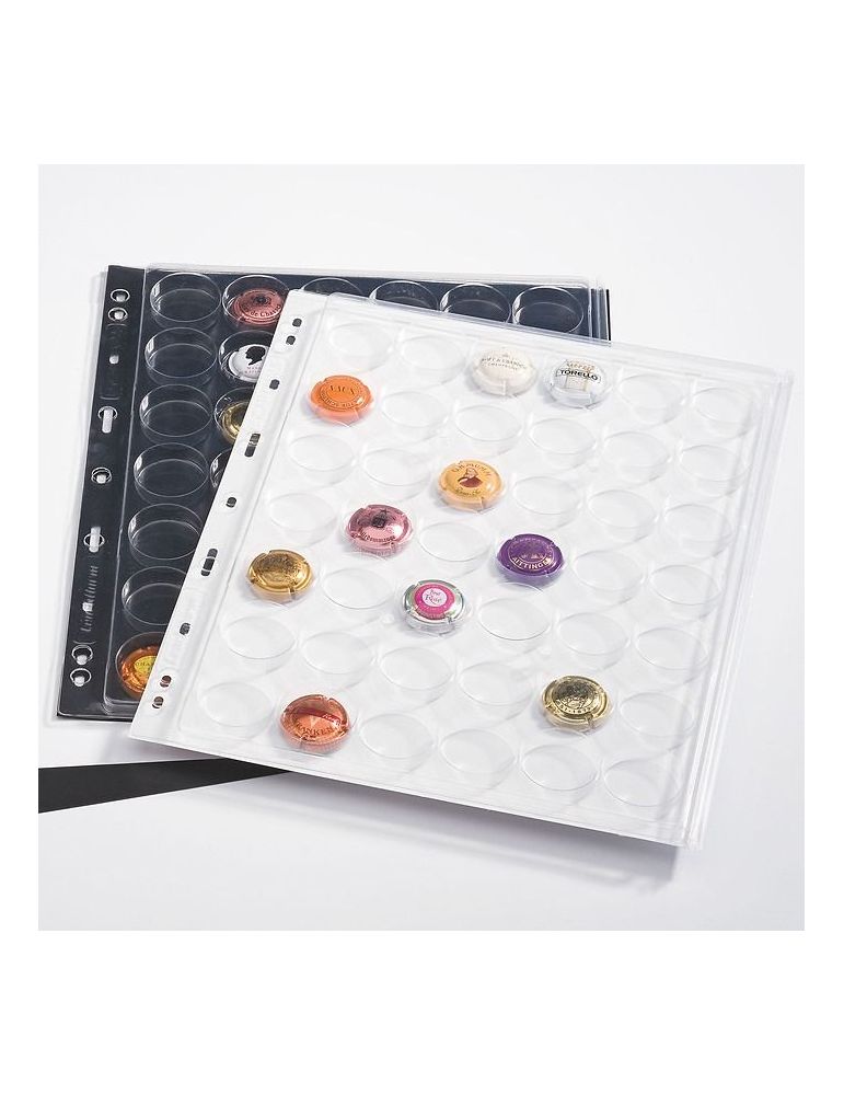 Feuilles transparentes ENCAP CHAMP (par 2) - LEUCHTTURM®