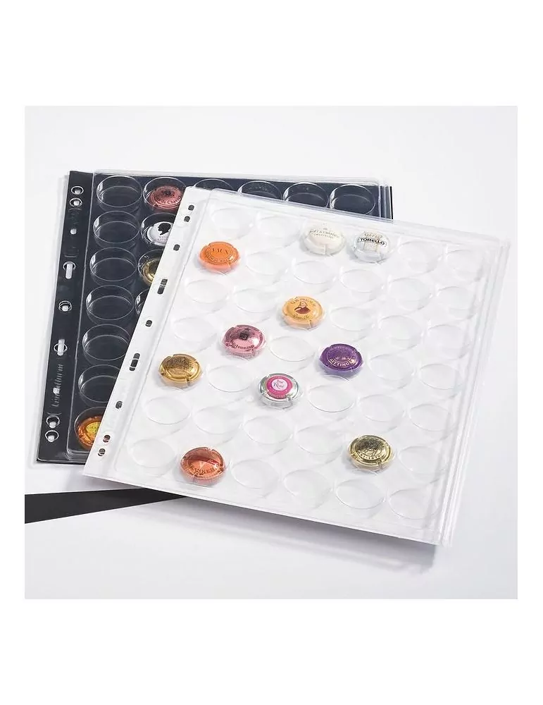 Feuilles transparentes ENCAP CHAMP (par 2) - LEUCHTTURM®