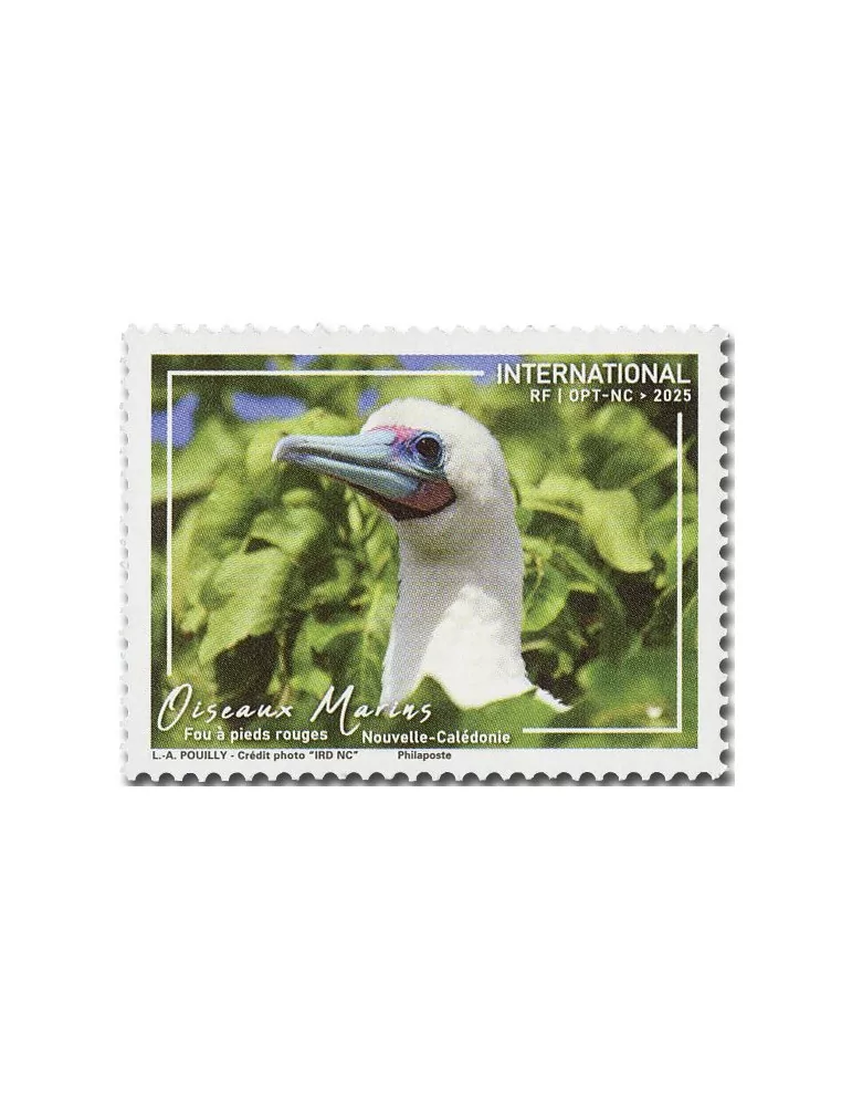 n° 1479 - Timbre Nelle Calédonie Poste