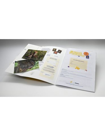 CARNET DE VACANCES - du CP vers le CE1 - Edition 2025 (La Poste) 2