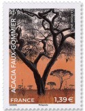 n° 5901 - Timbre FRANCE Poste (ACACIA FAUX GOMMIER)