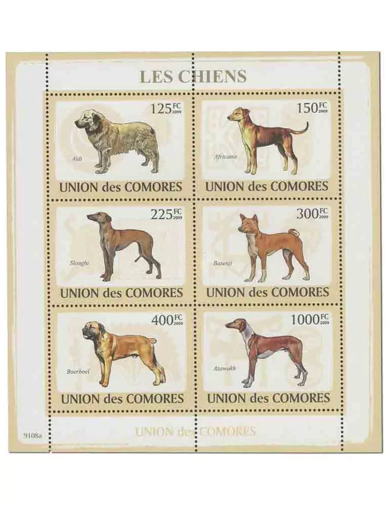 COMORES : Thématique (Les chiens)