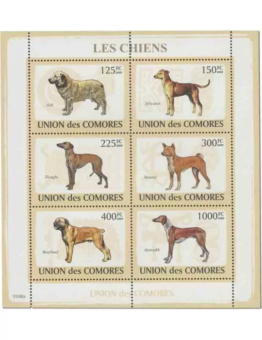 COMORES : Thématique (Les chiens)