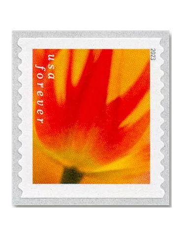 n° 5629a/5638a - Timbre ETATS-UNIS D´AMERIQUE Poste