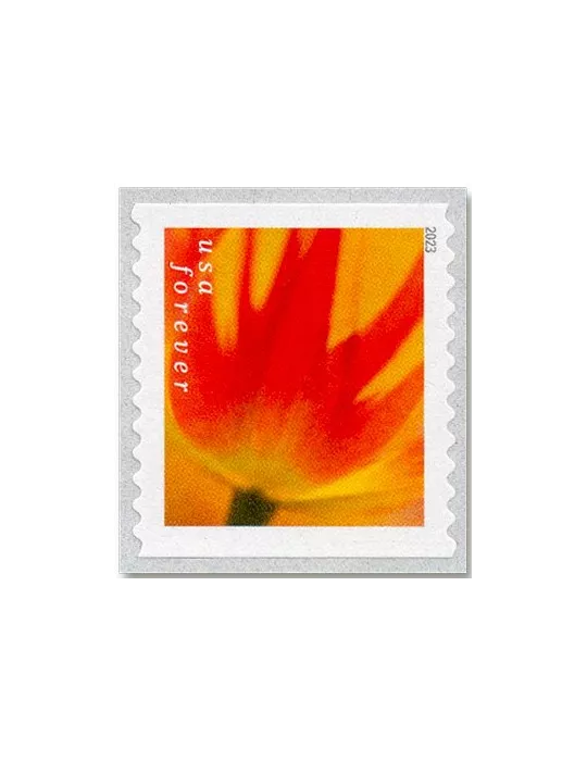 n° 5629a/5638a - Timbre ETATS-UNIS D´AMERIQUE Poste