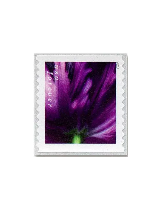 n° 5629a/5638a - Timbre ETATS-UNIS D´AMERIQUE Poste