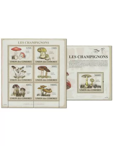 COMORES : Thématique( Champignons)