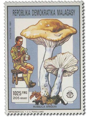 MADAGASCAR : Thématique( Insectes/Champignons) 2
