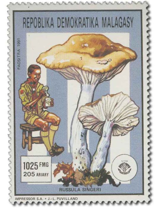 MADAGASCAR : Thématique( Insectes/Champignons)
