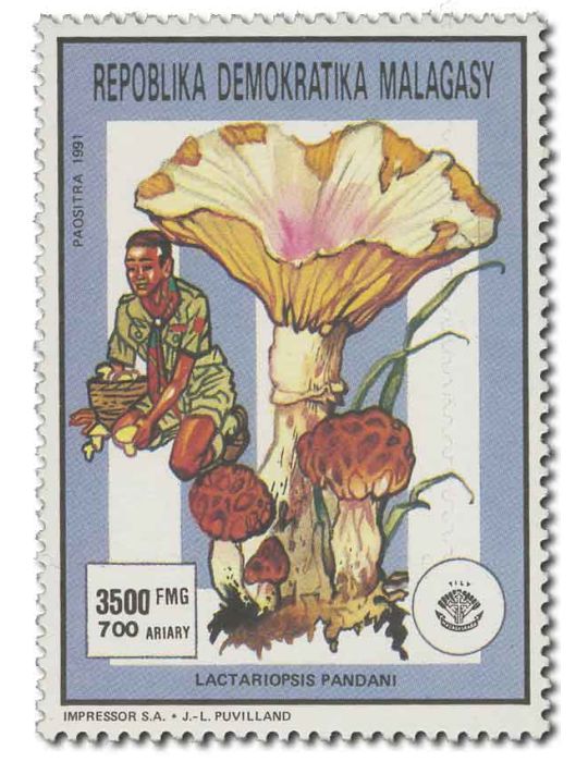 MADAGASCAR : Thématique( Insectes/Champignons)