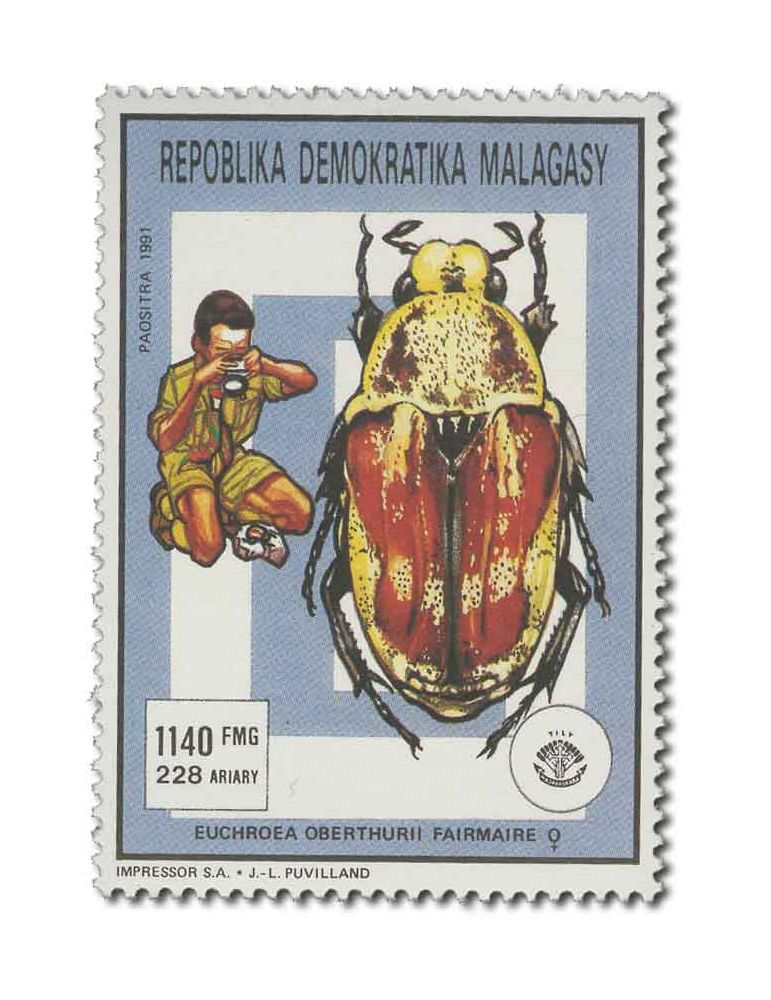 MADAGASCAR : Thématique( Insectes/Champignons)