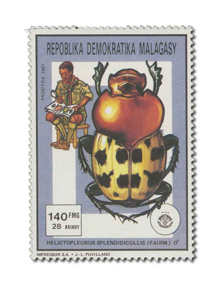 MADAGASCAR : Thématique( Insectes/Champignons)