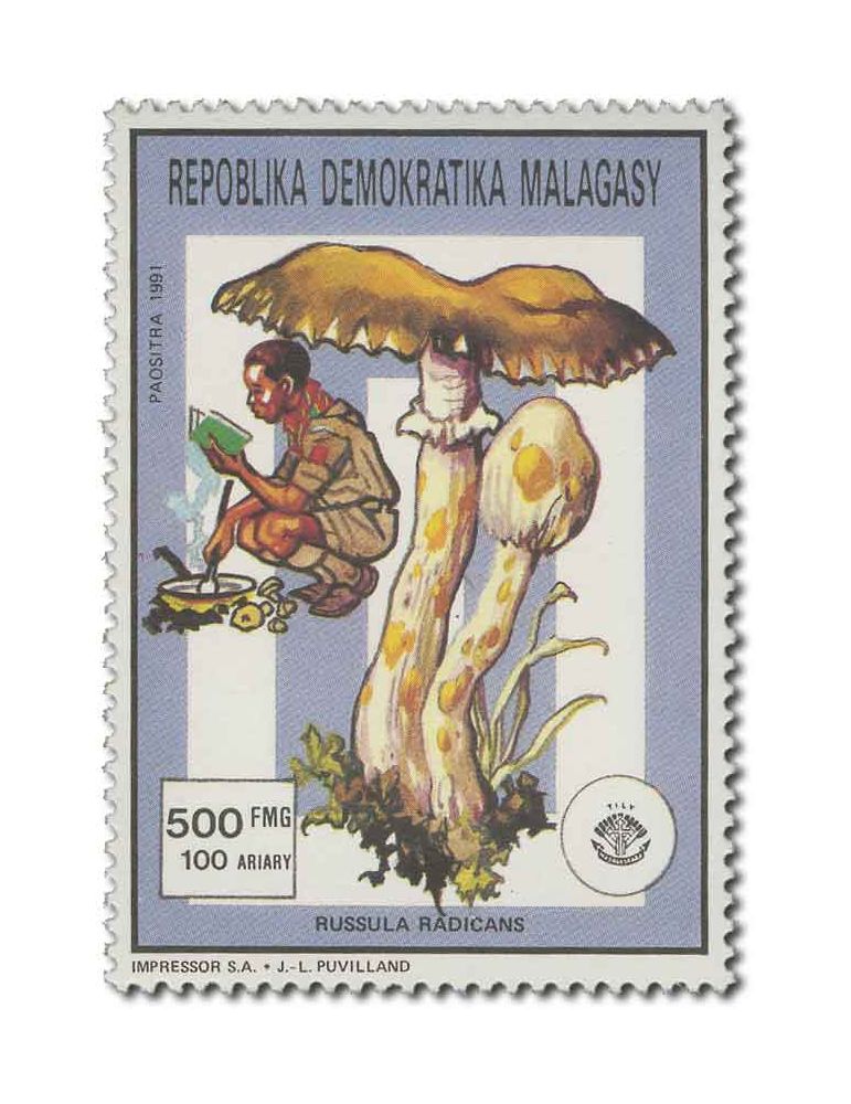 MADAGASCAR : Thématique( Insectes/Champignons)