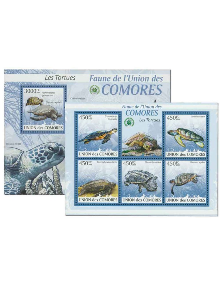 COMORE : Thématique (Les Tortues)