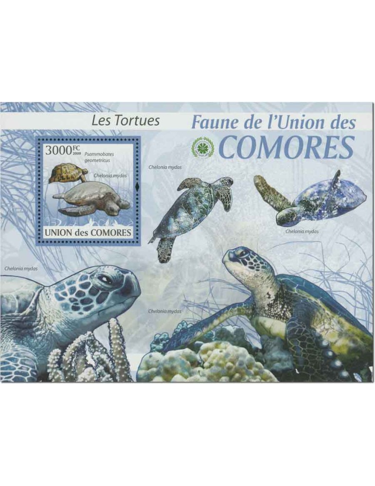 COMORE : Thématique (Les Tortues)