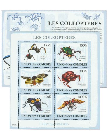 COMORES : Thématique (Les Coléoptères)