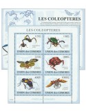 COMORES : Thématique (Les Coléoptères)