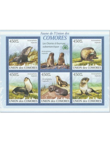 COMORES : Thématique (Les Otaries) 2