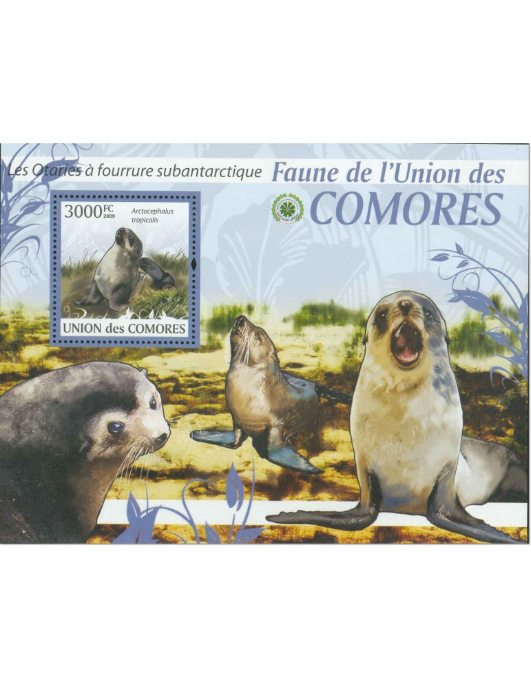 COMORES : Thématique (Les Otaries)