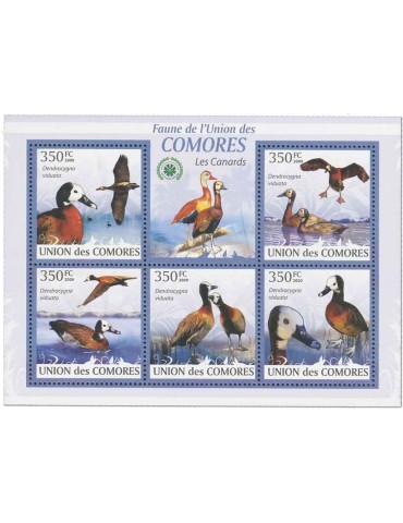COMORES : Thématique (Les Canards) 2