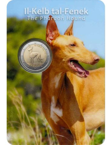 BU : 2 EURO COMMEMORATIVE 2026 : MALTE (Le Lévrier pharaon)