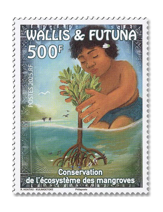 WALLIS : MANGROVES CONSERVATION ÉCOSYSTÈMES