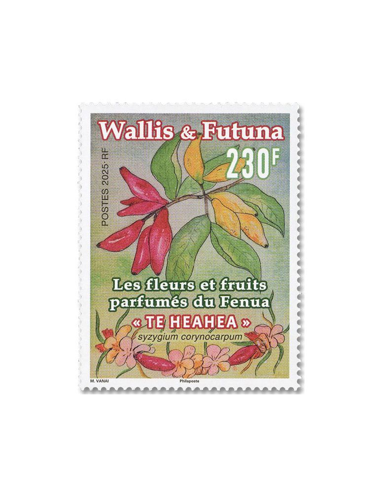 WALLIS : LES FLEURS ET FRUITS PARFUMES DU FENUA- (13_25_614)