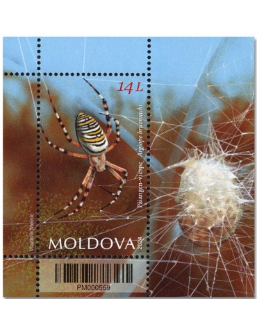 n° 105 - Timbre MOLDAVIE Blocs et feuillets
