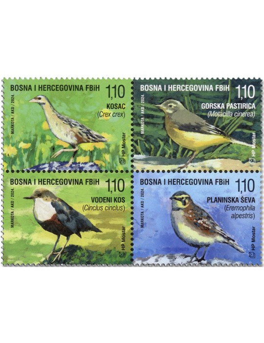 new