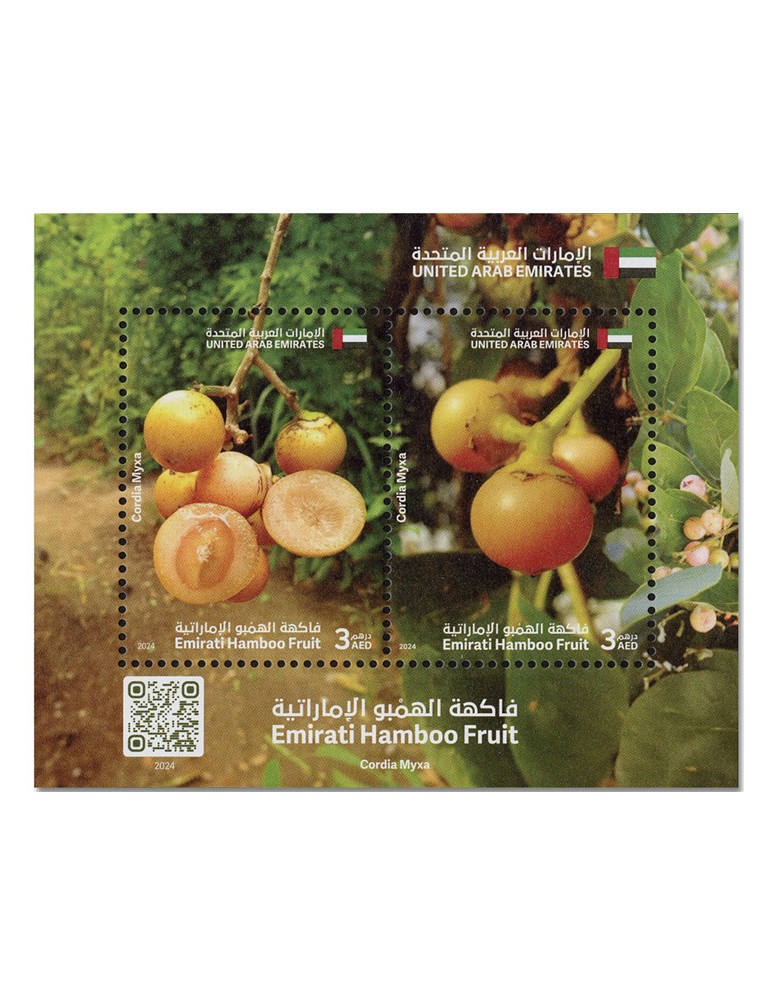 n° 143 - Timbre EMIRATS ARABES UNIS Blocs et feuillets