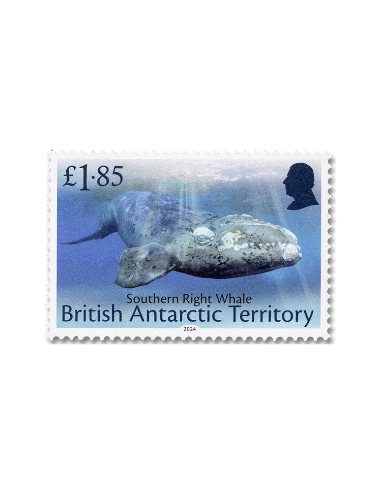 n° 837/848 - Timbre ANTARCTIQUE BRITANNIQUE Poste