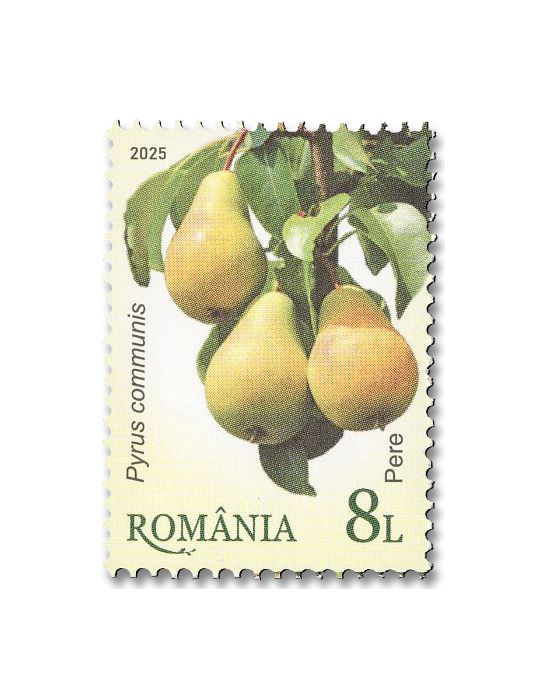 n° 7243/7248 - Timbre ROUMANIE Poste