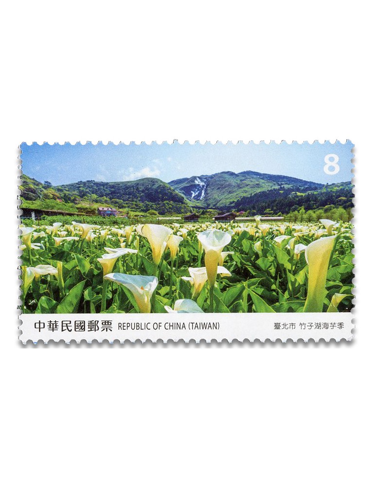 new