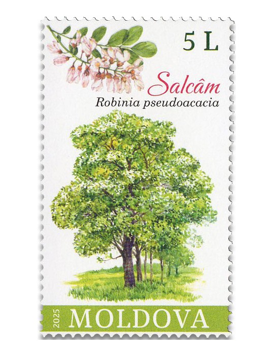 n° 1163/1165 - Timbre MOLDAVIE Poste