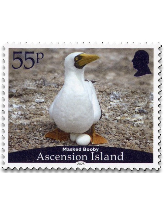 n° 1279/1282 - Timbre ASCENSION Poste