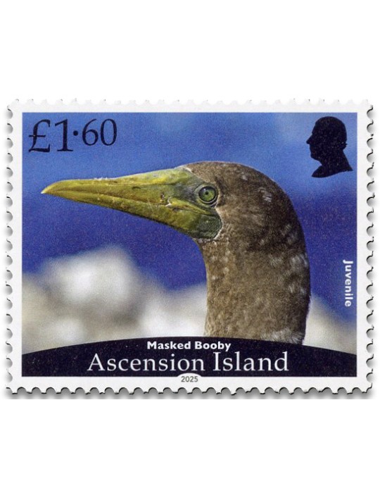 n° 1279/1282 - Timbre ASCENSION Poste